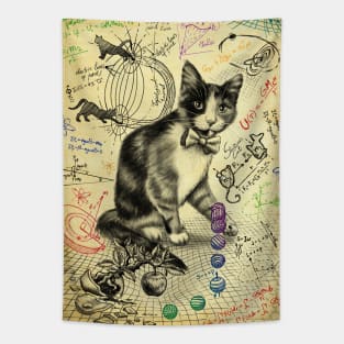 Cat Studying Gravity Tapestry