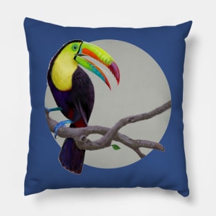 Keel-Billed Toucan Pillow