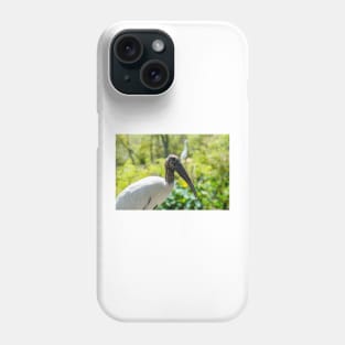 Wood stork   wildlife preserve 2 Phone Case