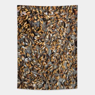 Seaweeds Tapestry