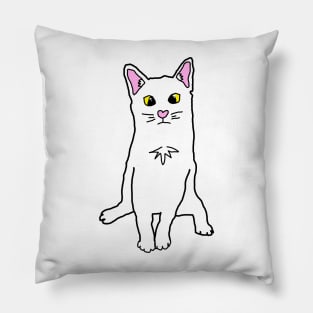 Cute haku Pillow