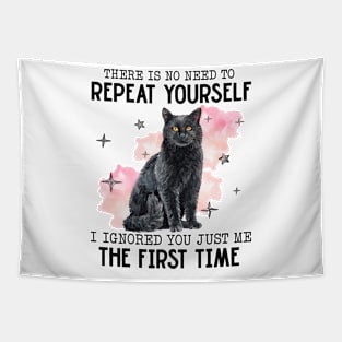 There Is No Need To Repeat Yourself Funny Cat Tapestry