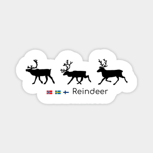 Reindeer in traffic Magnet