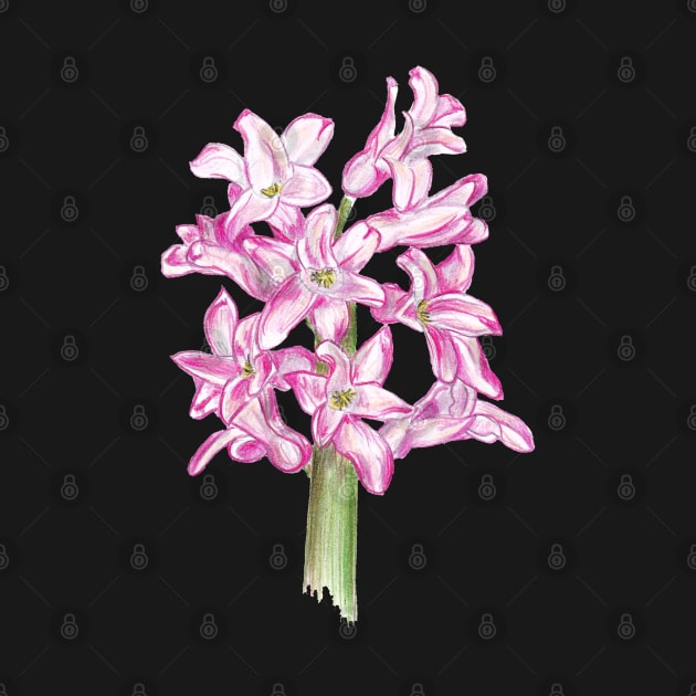 Hyacinth by feafox92