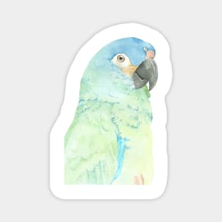 blue-winged macaw parrot portrait watercolor painting tropical pet v2 Magnet
