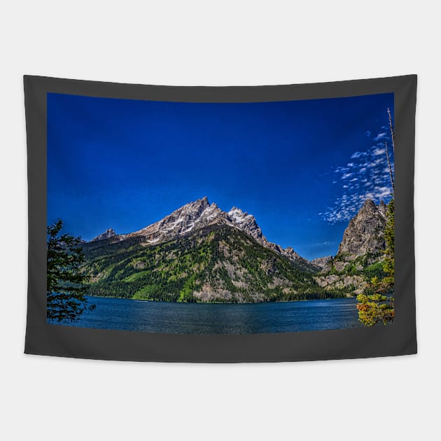 Jenny Lake Grand Teton National Park Tapestry by Gestalt Imagery