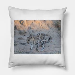 Leopard cub Pillow