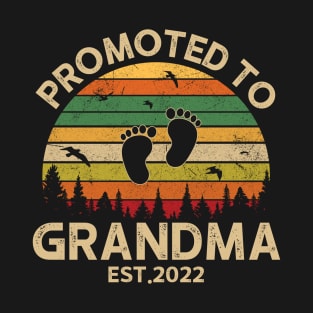 Promoted To Grandma Est 2022 Pregnancy Announcement Vintage T-Shirt