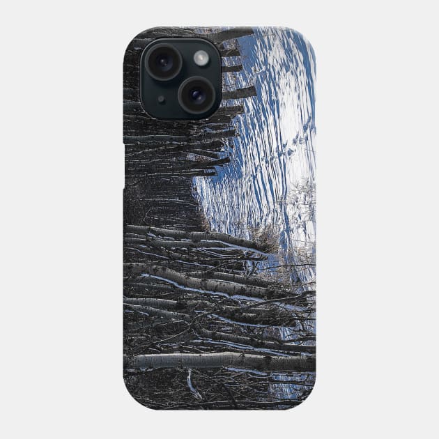Trail tracks Phone Case by CanadianWild418