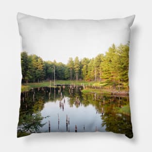 Beaver Pond Frontenac Provincial Park No.1 Pillow