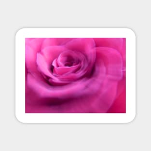 Swirling Impressionist Vibrant Pink Rose Magnet