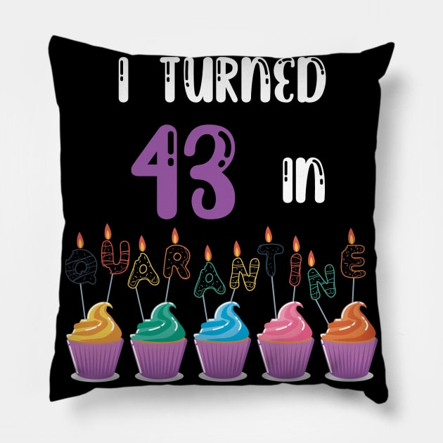 I Turned 43 In Quarantine funny idea birthday t-shirt Pillow by fatoajmii