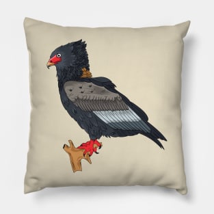 Bateleur Eagle illustration Pillow