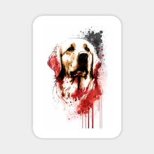 Golden Retriever Portrait Magnet