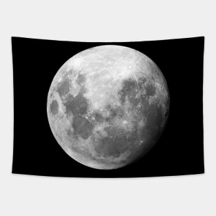 Full Moon La Luna Witchy Gothic Dark Art Tapestry