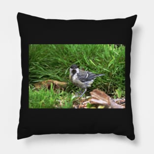 NEW  THE PANASONIC FZ 1000 PAR OKAIO CREATION Pillow