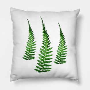 Fern Pillow