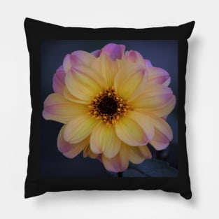 Dahlia Pillow