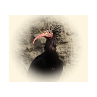 Northern bald ibis T-Shirt