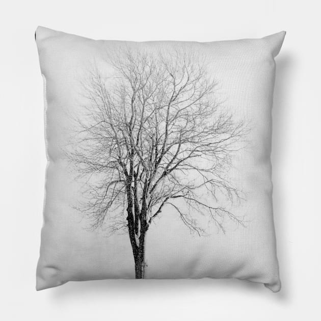 Skeletal Tree in a Snow Squall - BW Pillow by BrianPShaw