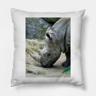 Rhino Pillow