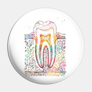 Tooth diagram Pin