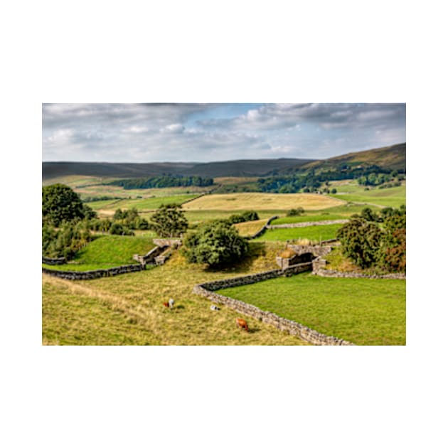 Hawes Farmland by Femaleform