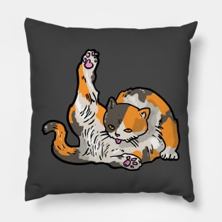 Cat Licking it's Butt Pillow