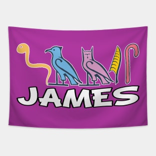 JAMES-American names in hieroglyphic letters-James, name in a Pharaonic Khartouch-Hieroglyphic pharaonic names Tapestry