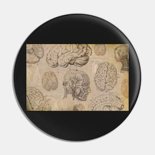 Vintage brain medical anatomy line drawing design. Pin