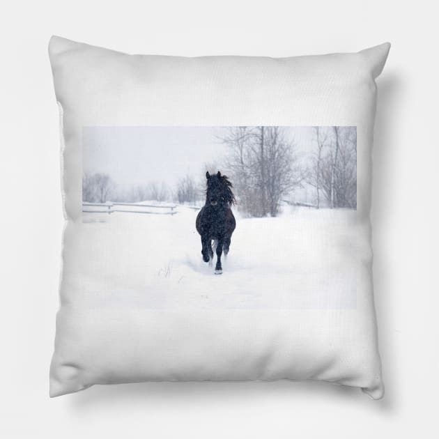 Dashing through the snow - Horse Pillow by Jim Cumming