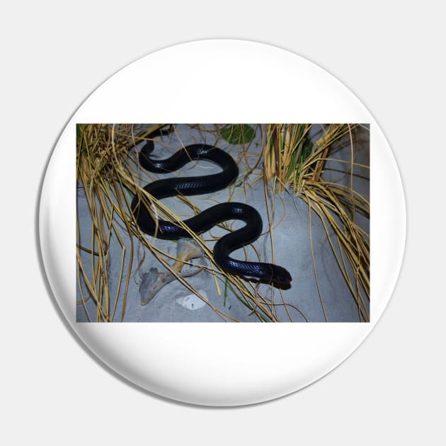 Black Snake Pin by Cynthia48