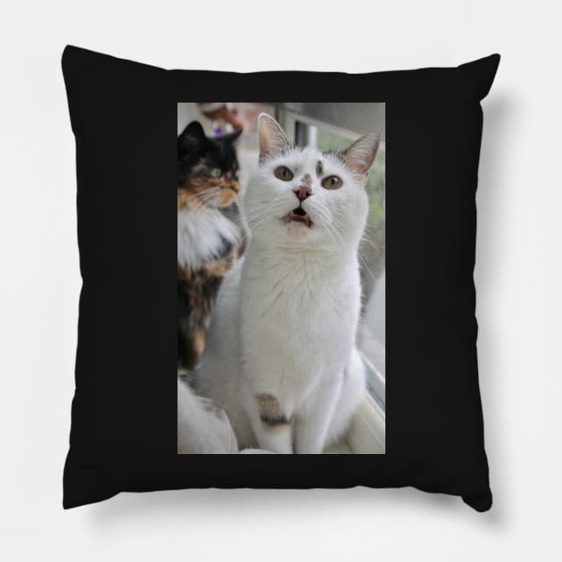 Doh Pillow by Ladymoose