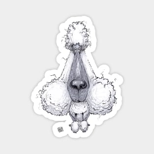 Poodle Dog Magnet