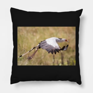 Secretary Bird in flight Pillow