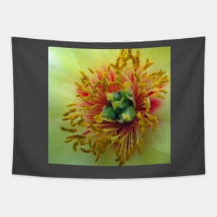 Japanese Tree Peony Tapestry