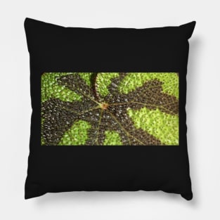 Begonia Rex Leaf Detail Pillow