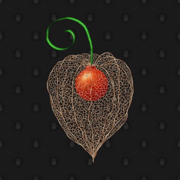 Delicate Chinese Lantern Fruit Art by H. R. Sinclair