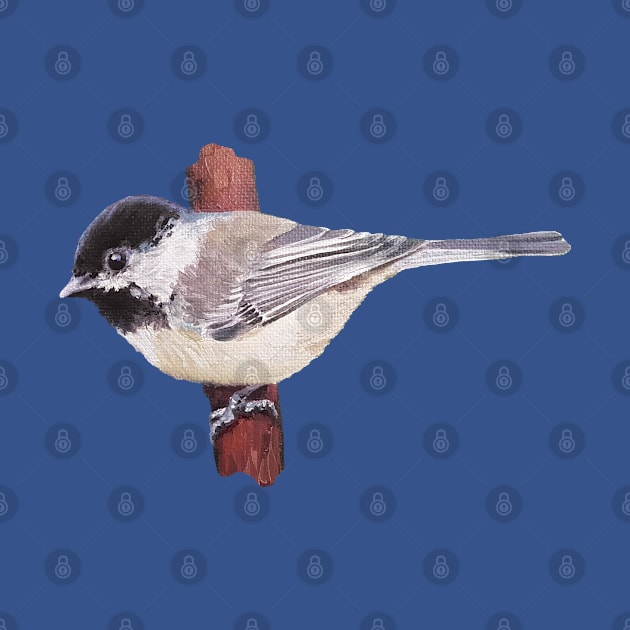 Chickadee in the Cedars bird painting (no background) by EmilyBickell