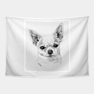 Proud champion smoothcoat chihuahua! Tapestry