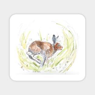 Irish hare watercolour illustration. Magnet