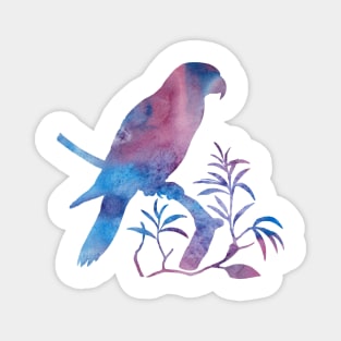Parrot Magnet
