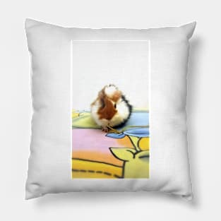 Castagna the guinea pig Pillow