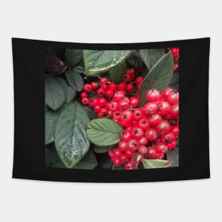 Red Christmas Berries of Harmony and Generosity Tapestry