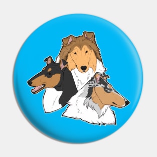 Pointy Herding Dogs! (Collies) Pin