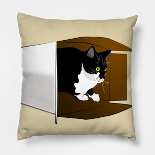 Cat in a Box Nelson the  Cute Tuxedo Cat  Copyright teAnne Pillow