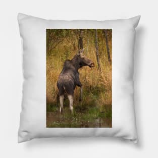 I'm outa here - Moose, Algonquin Park, Canada Pillow