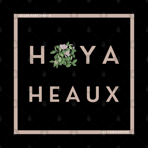 Hoya Heaux by DFW Plant Collective