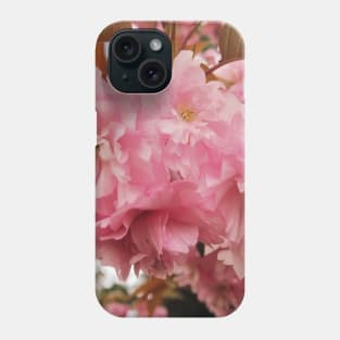 Macro of Cherry Blossoms Phone Case