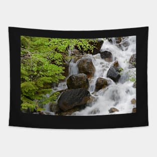 Singing Rapids Tapestry